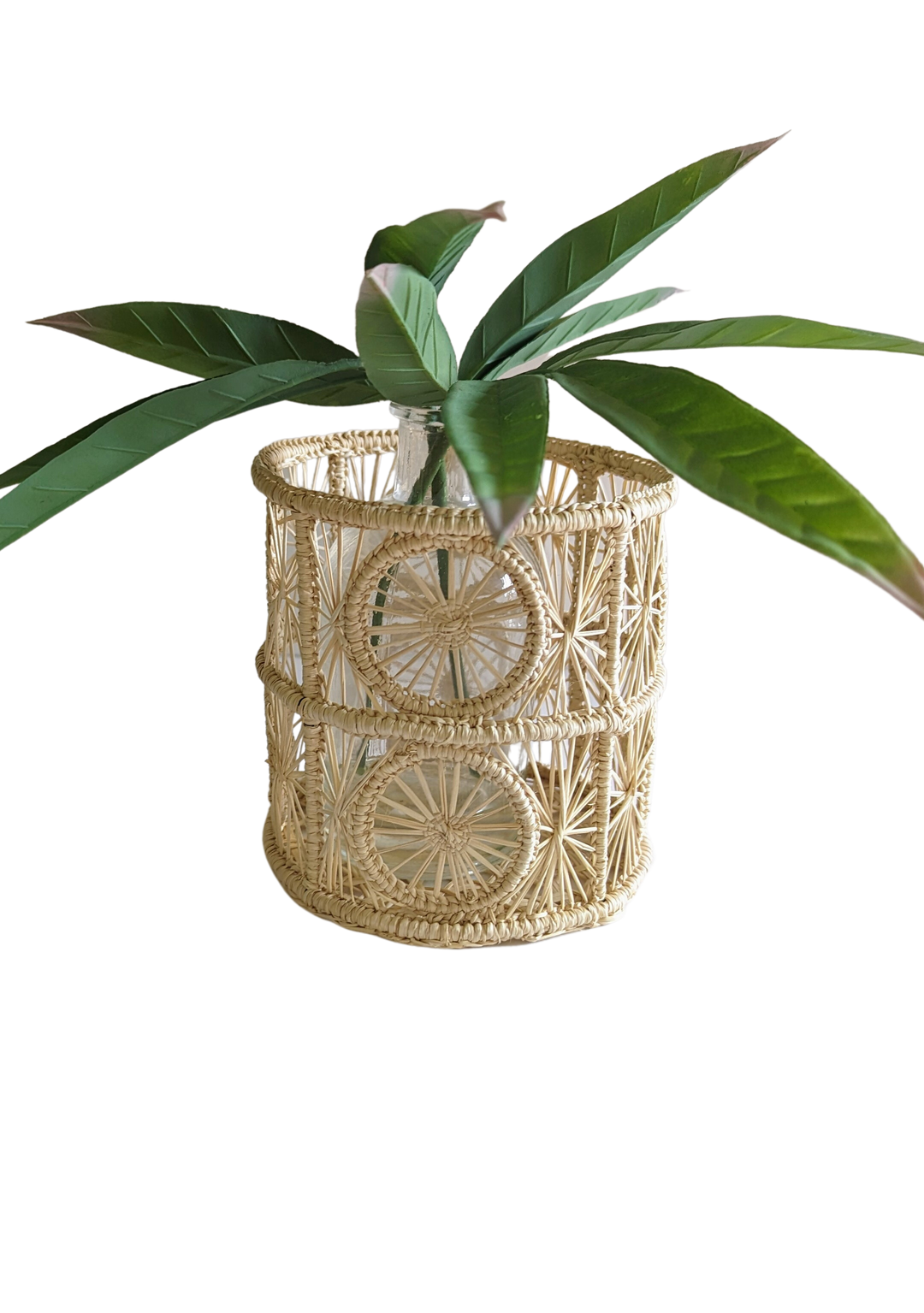 5" x 5" Hurricane Candle & Flower Holder Macondo Forever