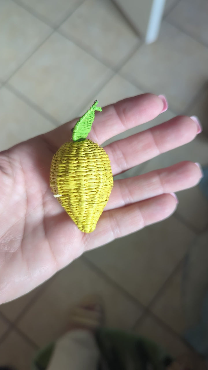 Lemon Iraca Woven Charm Set Pack of 4