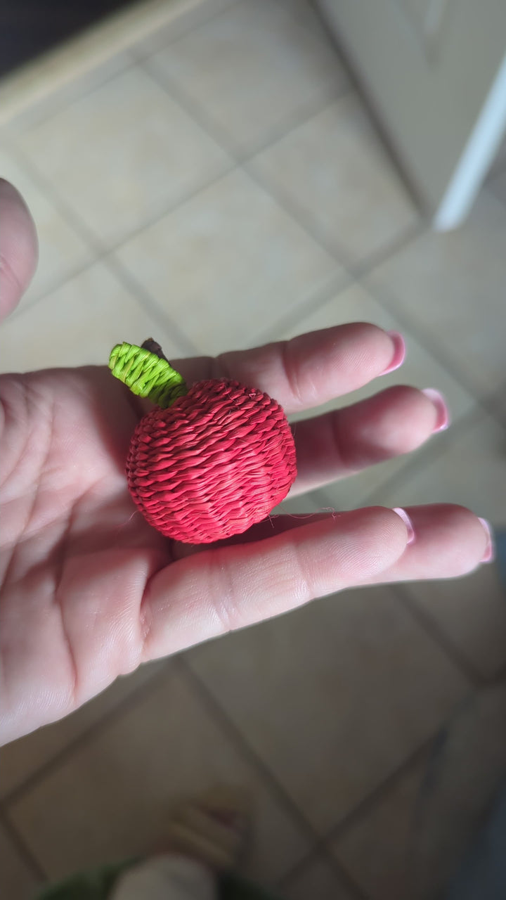 Apple Iraca Woven Charm Set Pack of 4